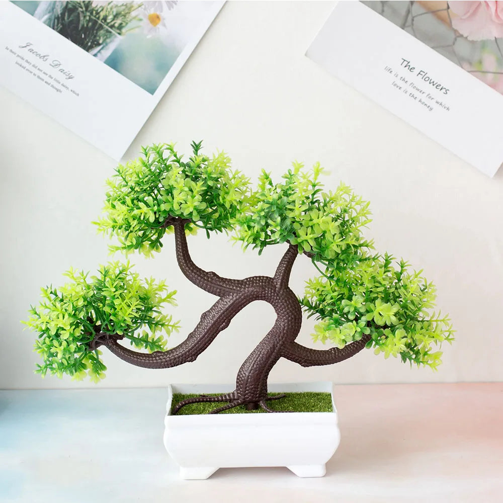Bonsai Tree