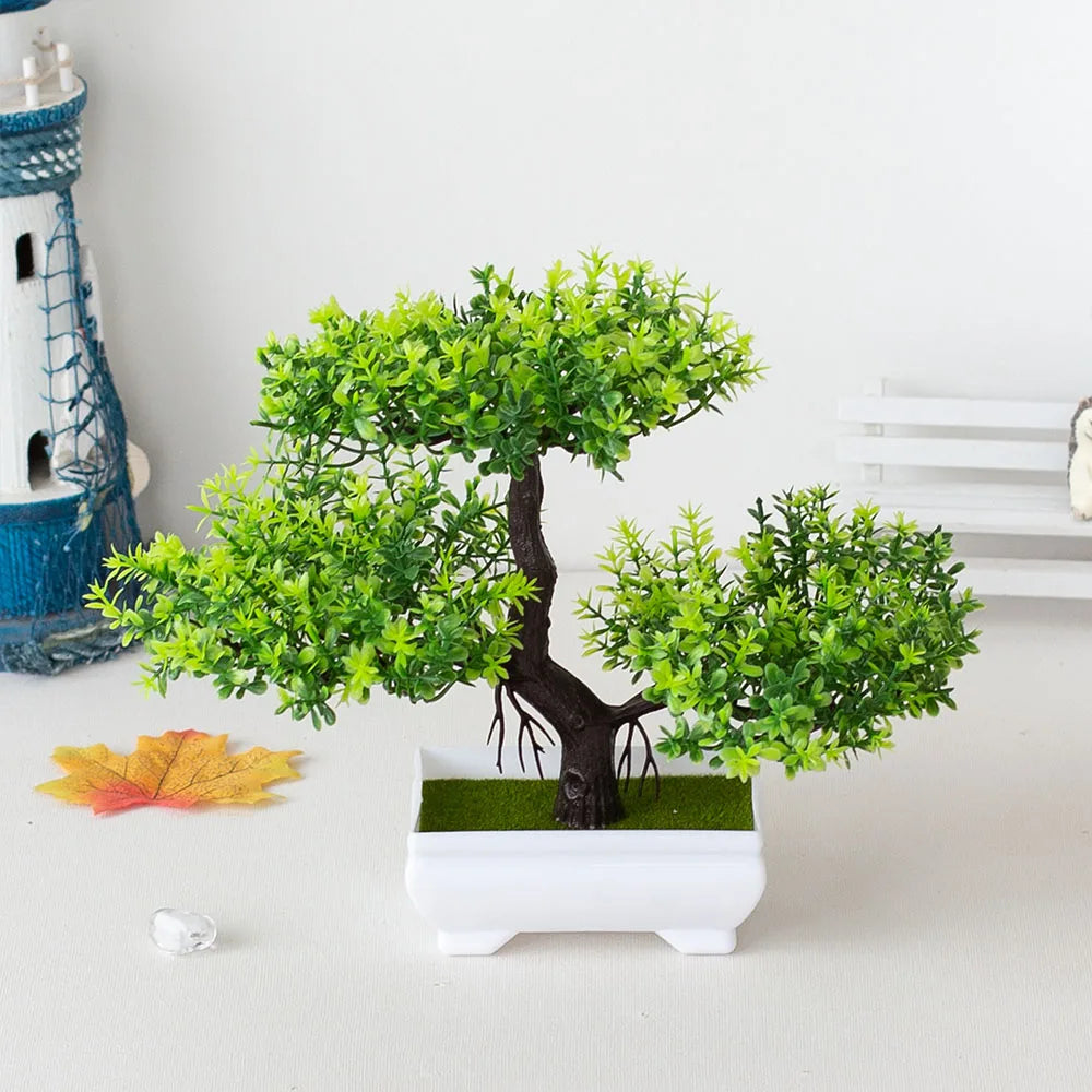 Bonsai Tree