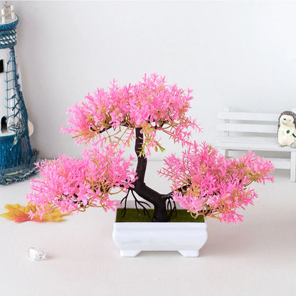 Bonsai Tree