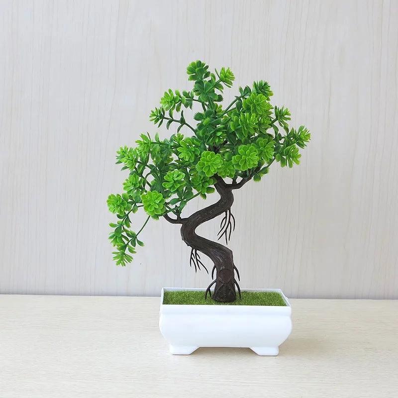 Bonsai Tree
