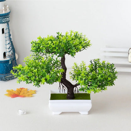 Bonsai Tree